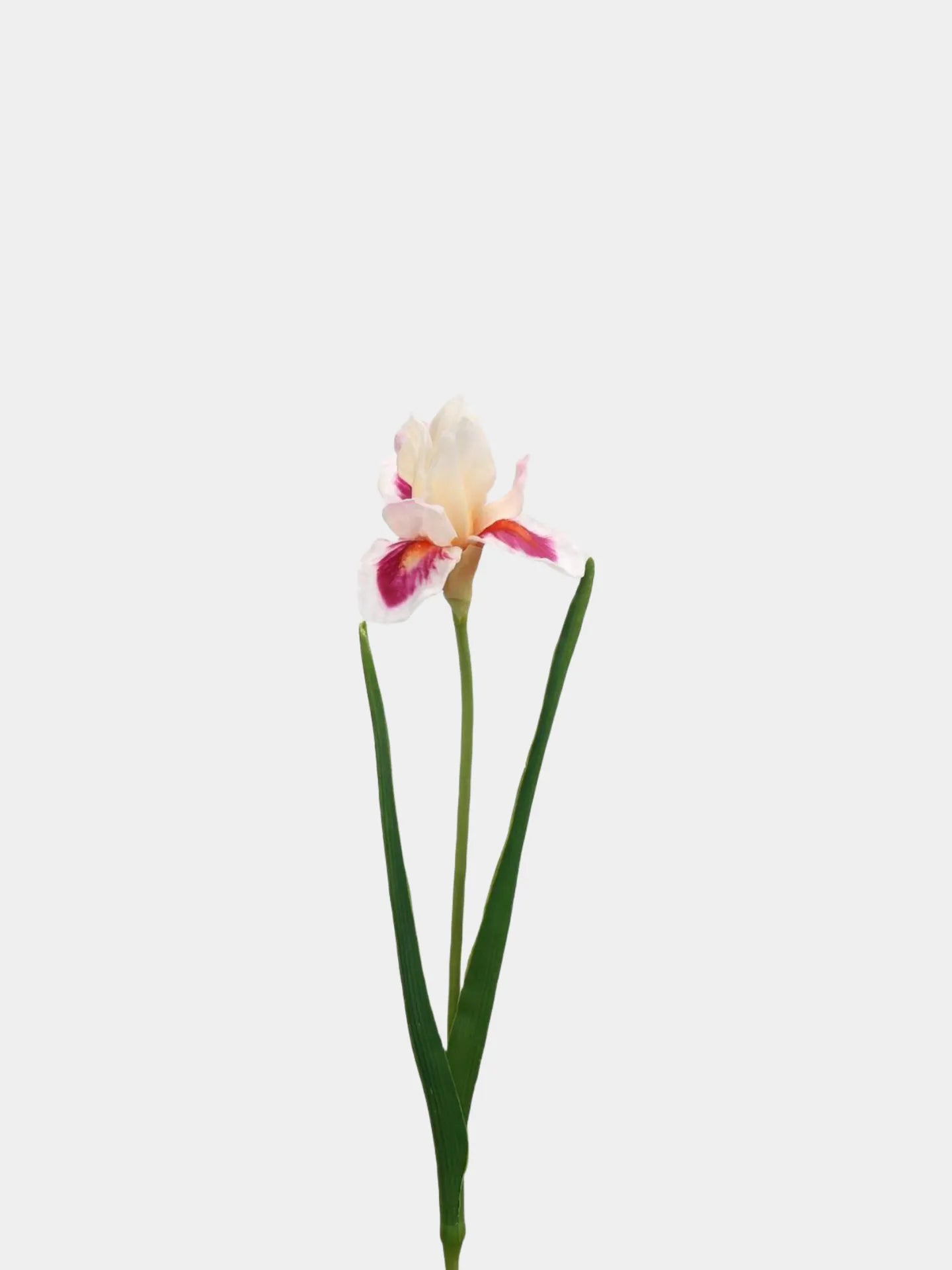 Artificial Bearded Iris Flower