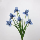 人工ひげアヤメの花