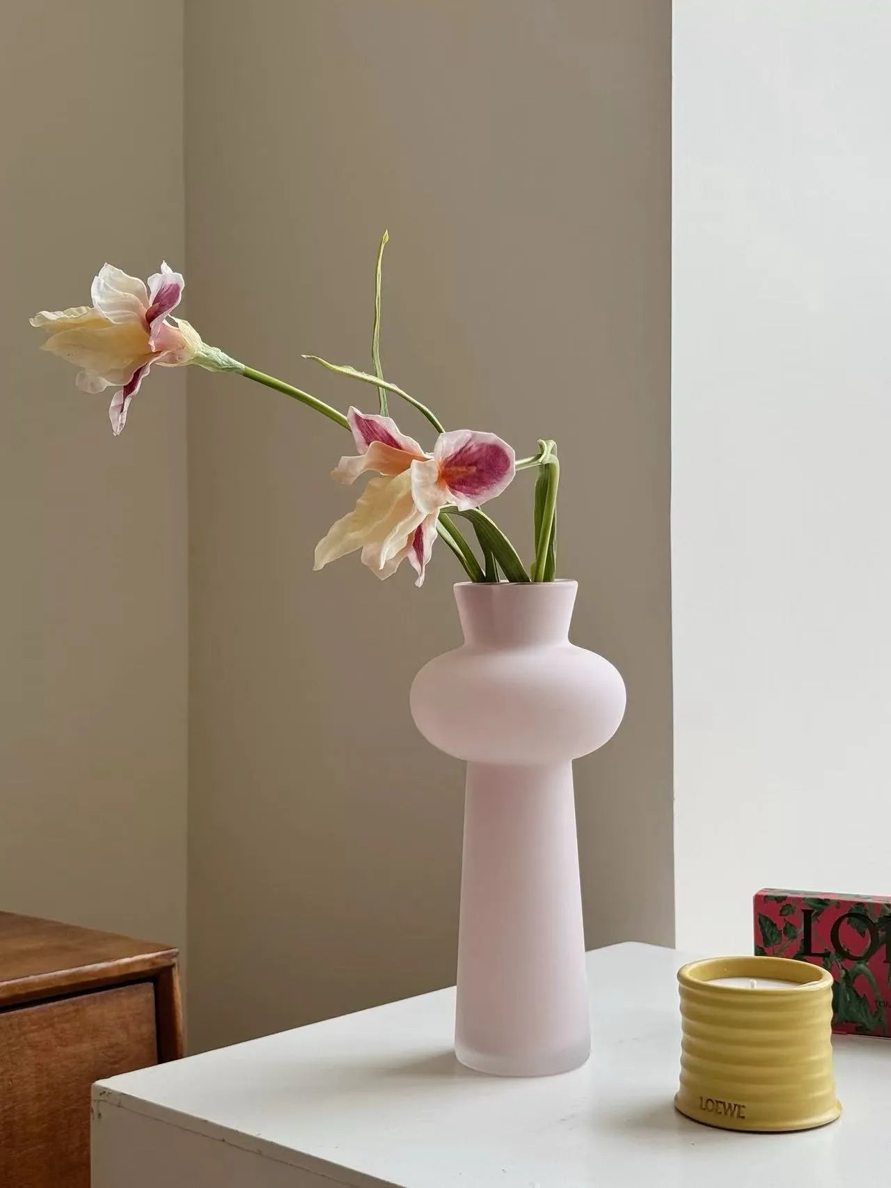 人工ひげアヤメの花