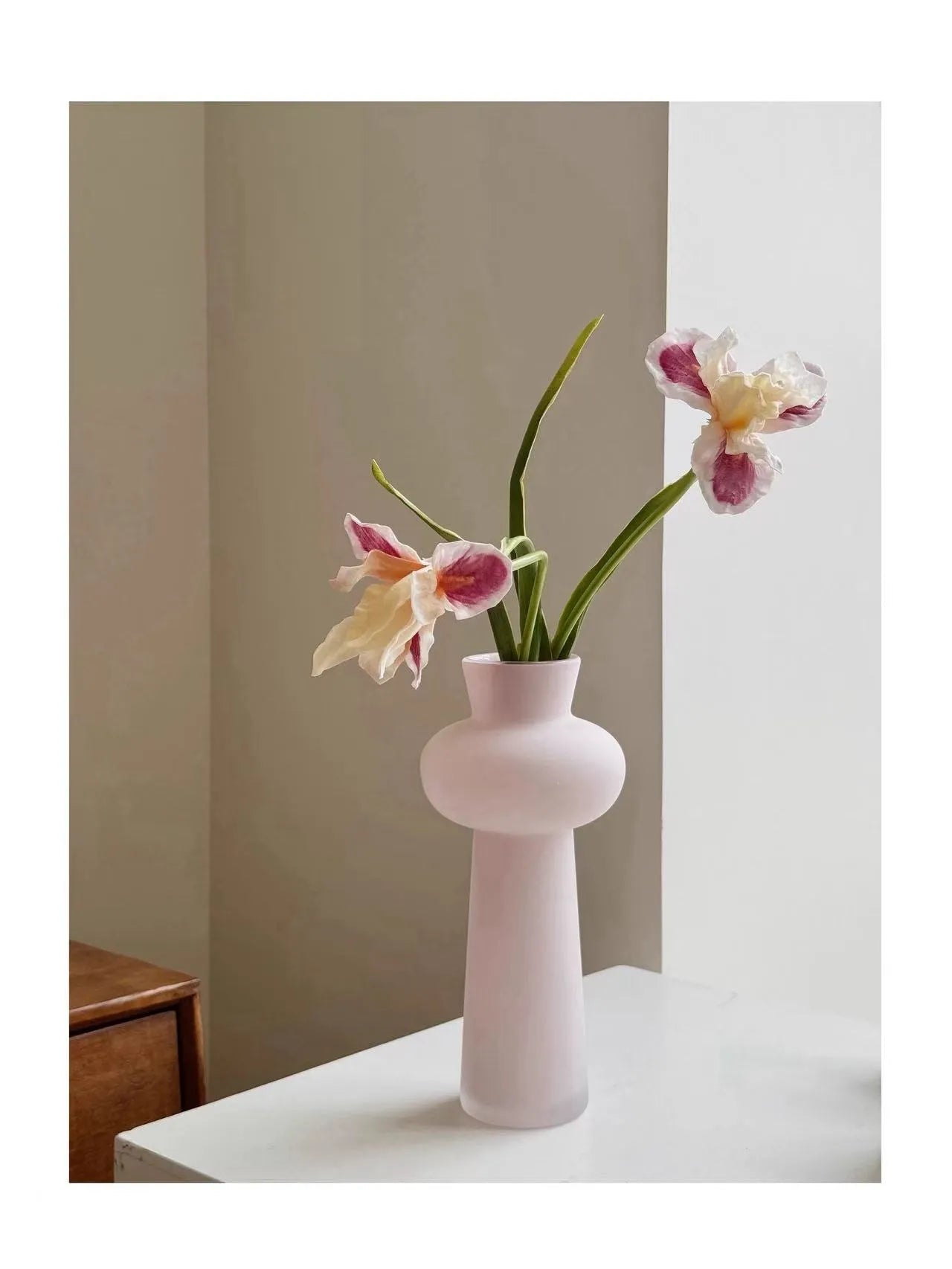 人工ひげアヤメの花