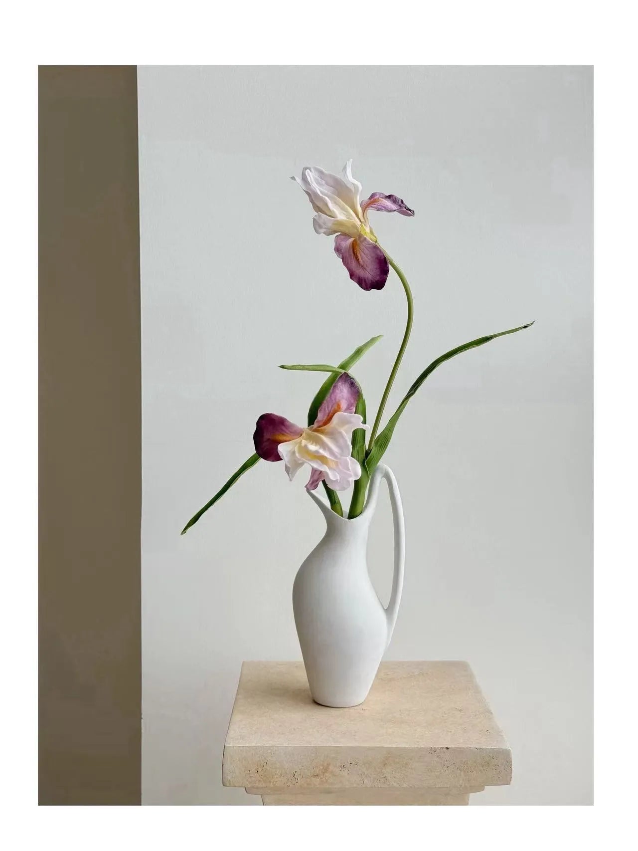 人工ひげアヤメの花