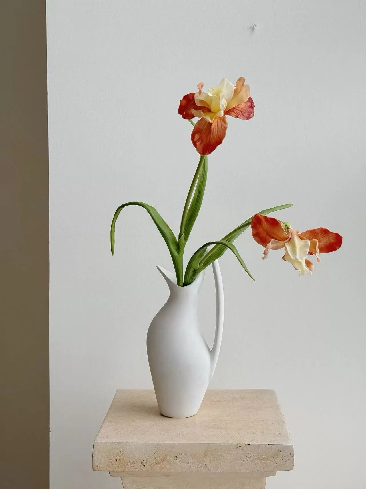 人工ひげアヤメの花