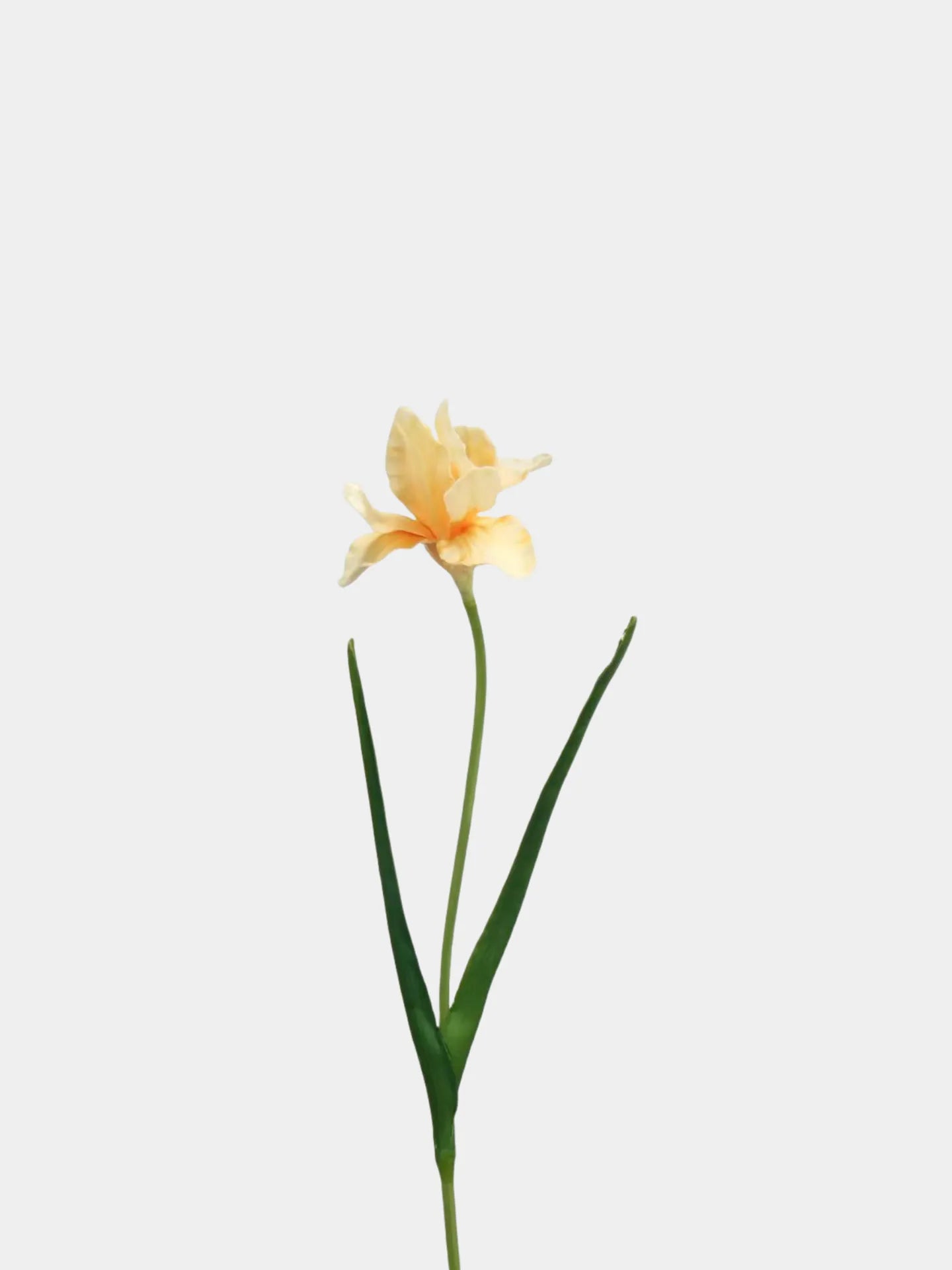 Artificial Bearded Iris Flower