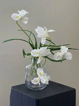 人工ひげアヤメの花