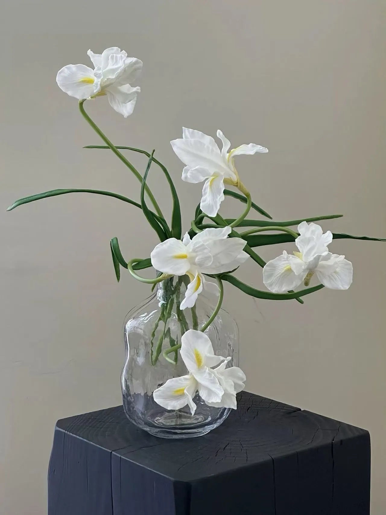 人工ひげアヤメの花