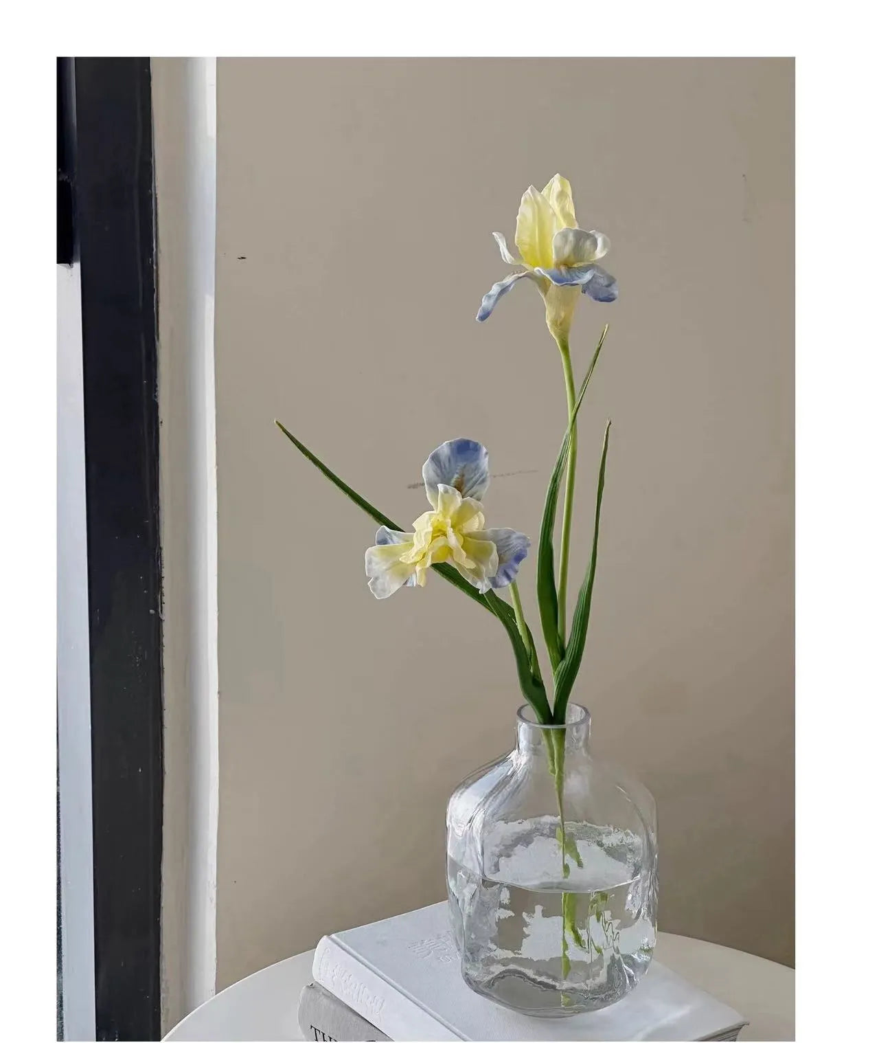 人工ひげアヤメの花