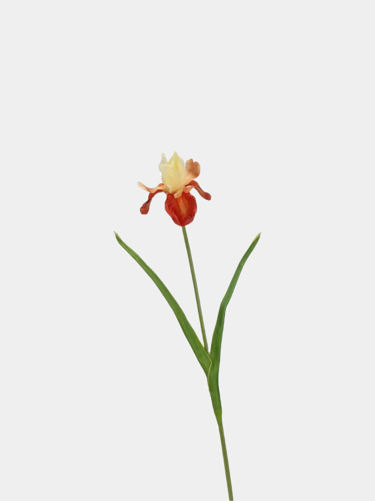 Artificial Bearded Iris Flower