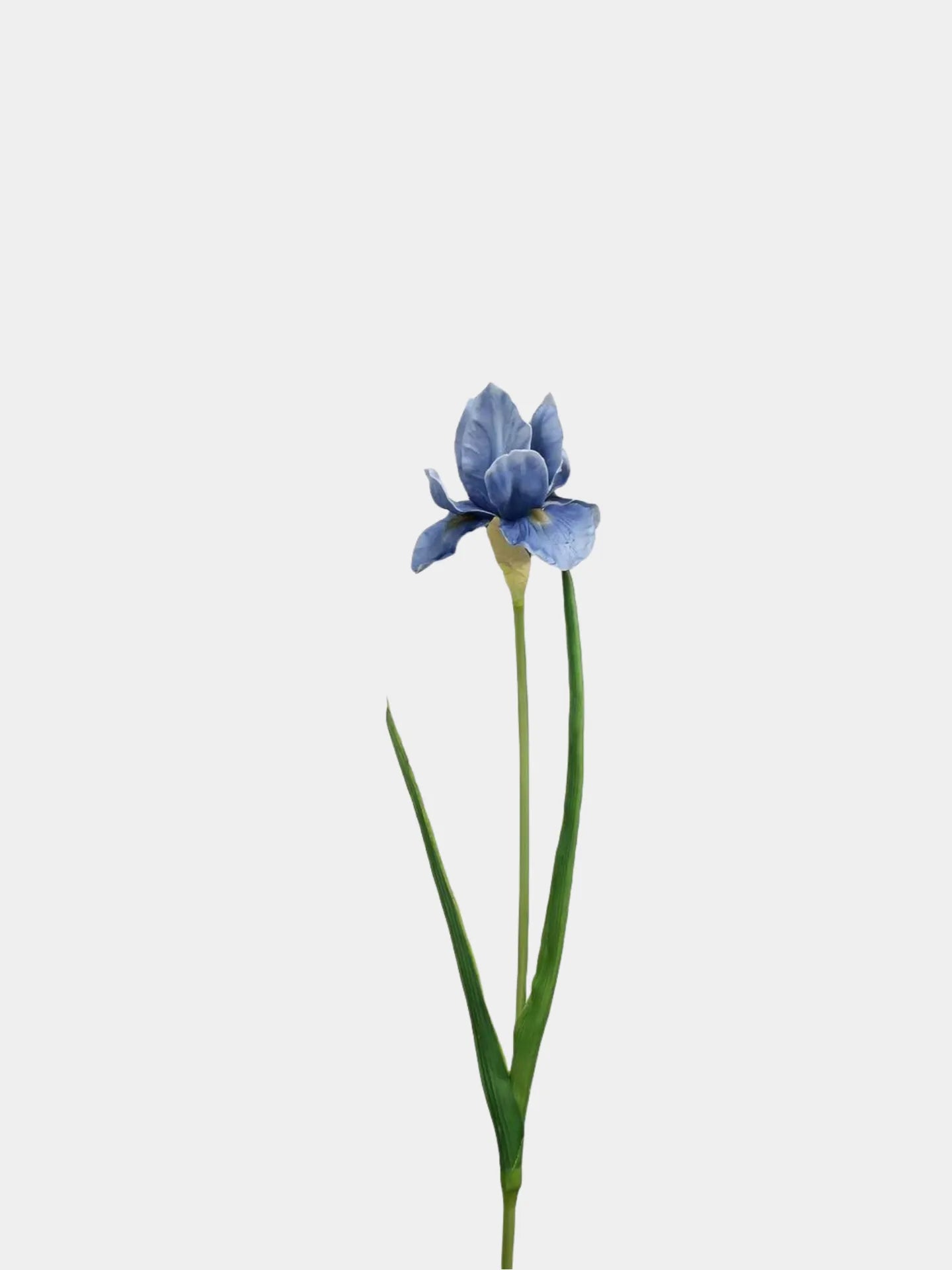 Artificial Bearded Iris Flower