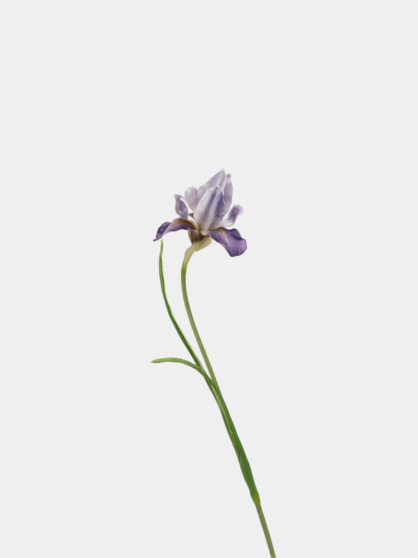 Artificial Bearded Iris Flower
