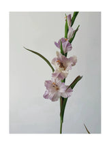 リアルタッチ人工グラジオラスの花 – ラベンダー