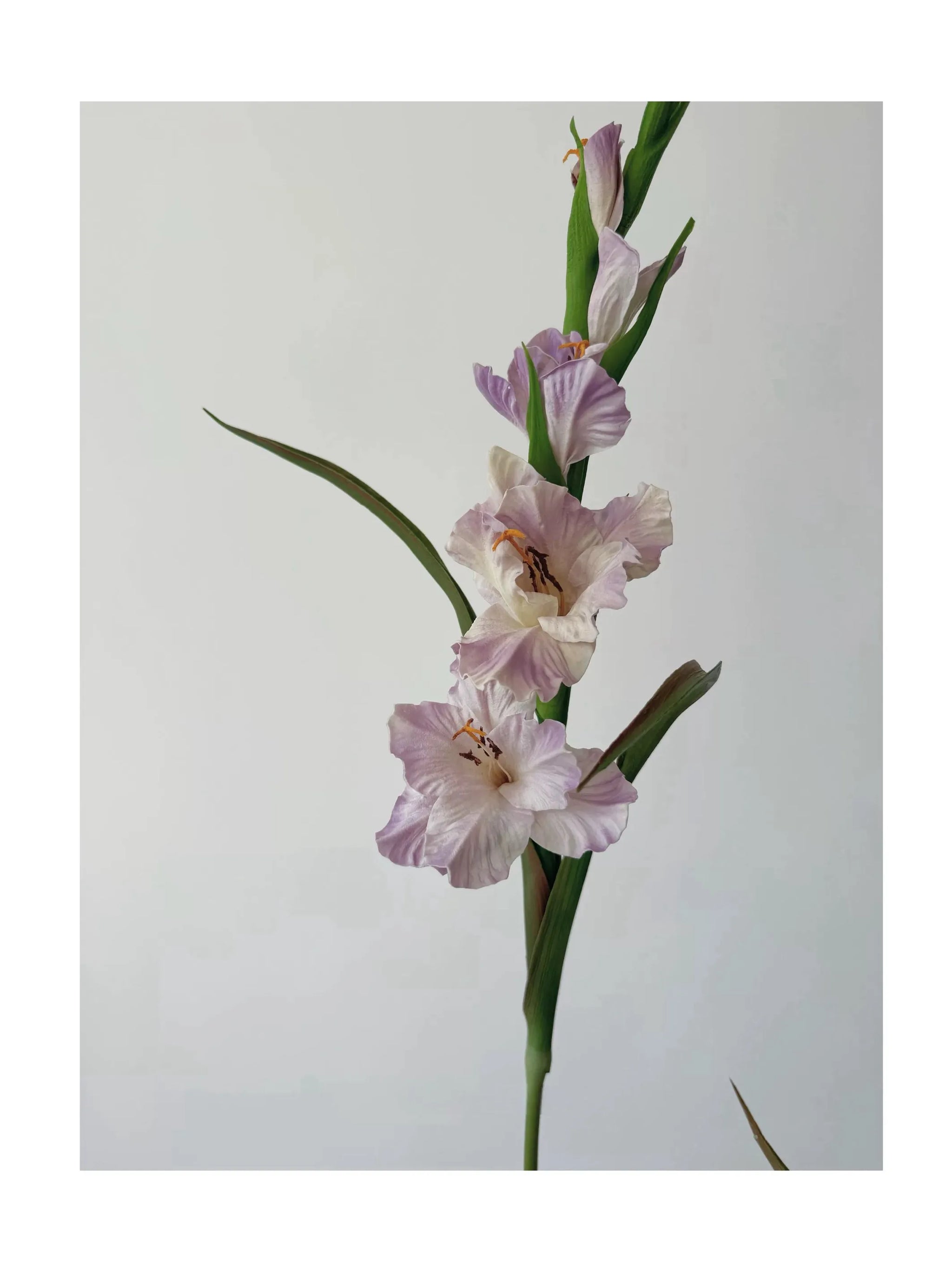 リアルタッチ人工グラジオラスの花 – ラベンダー