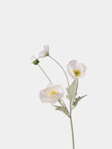 人工ポピー花茎