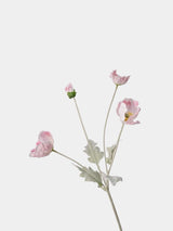 人工ポピー花茎