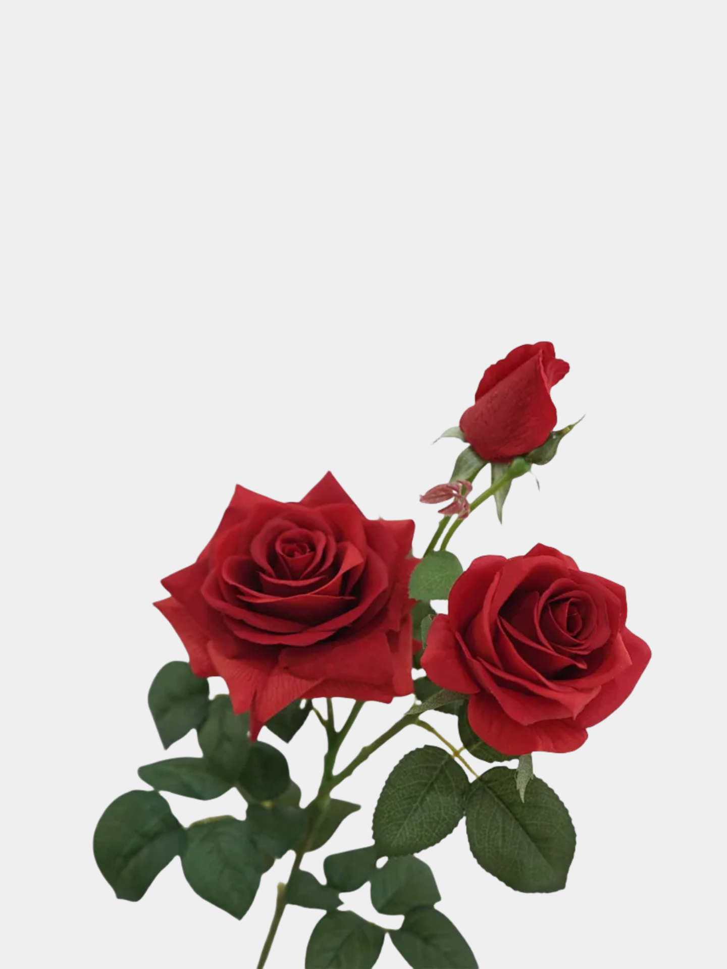 フェイクフラワー リアルタッチフラワー 白いバラ - 30インチのトリプルブロームと花蕾付き 