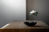 Artisan Glass Flower Frog & Ceramic Ikebana Bowl Set