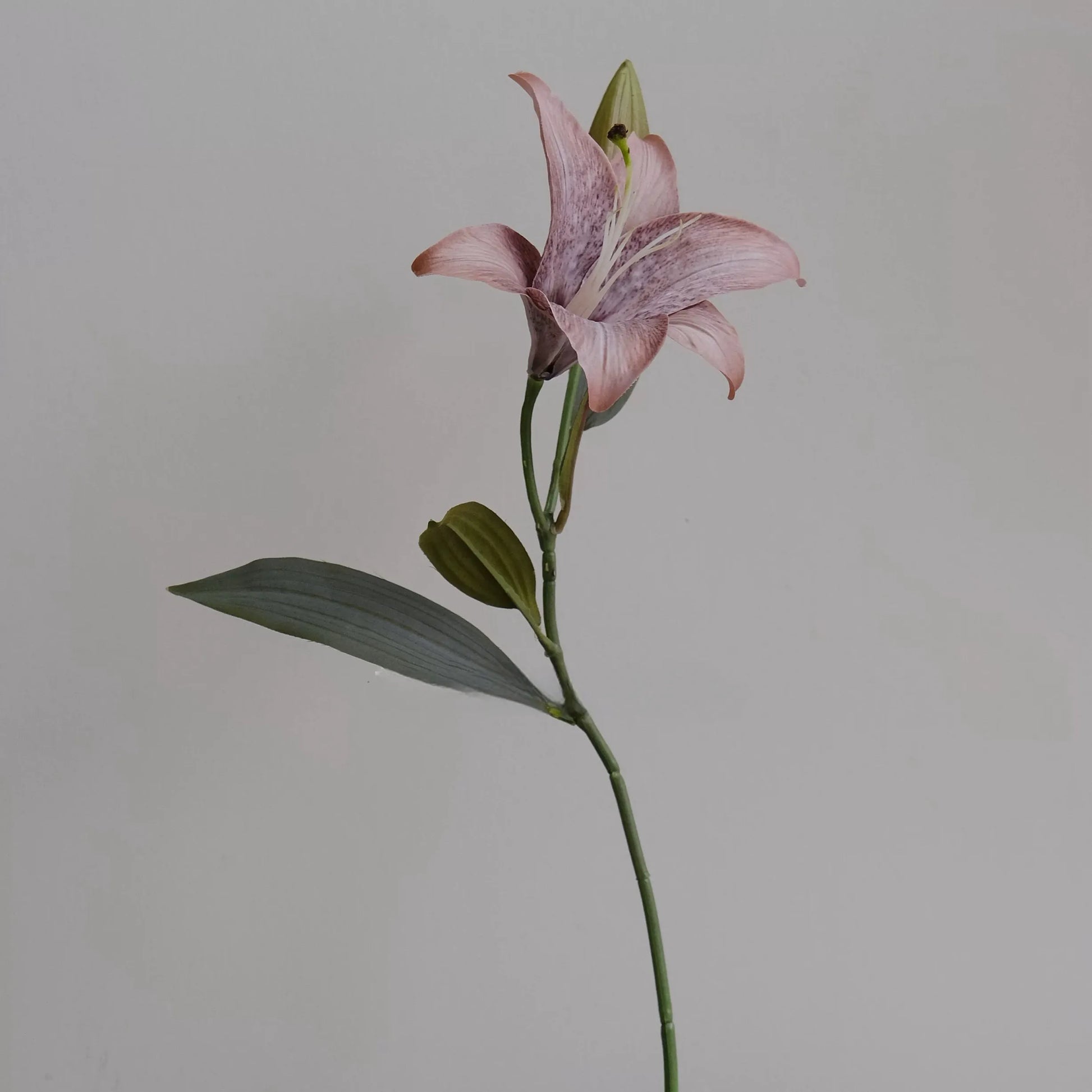 Elegant Faux Lily Flower – Two Stems