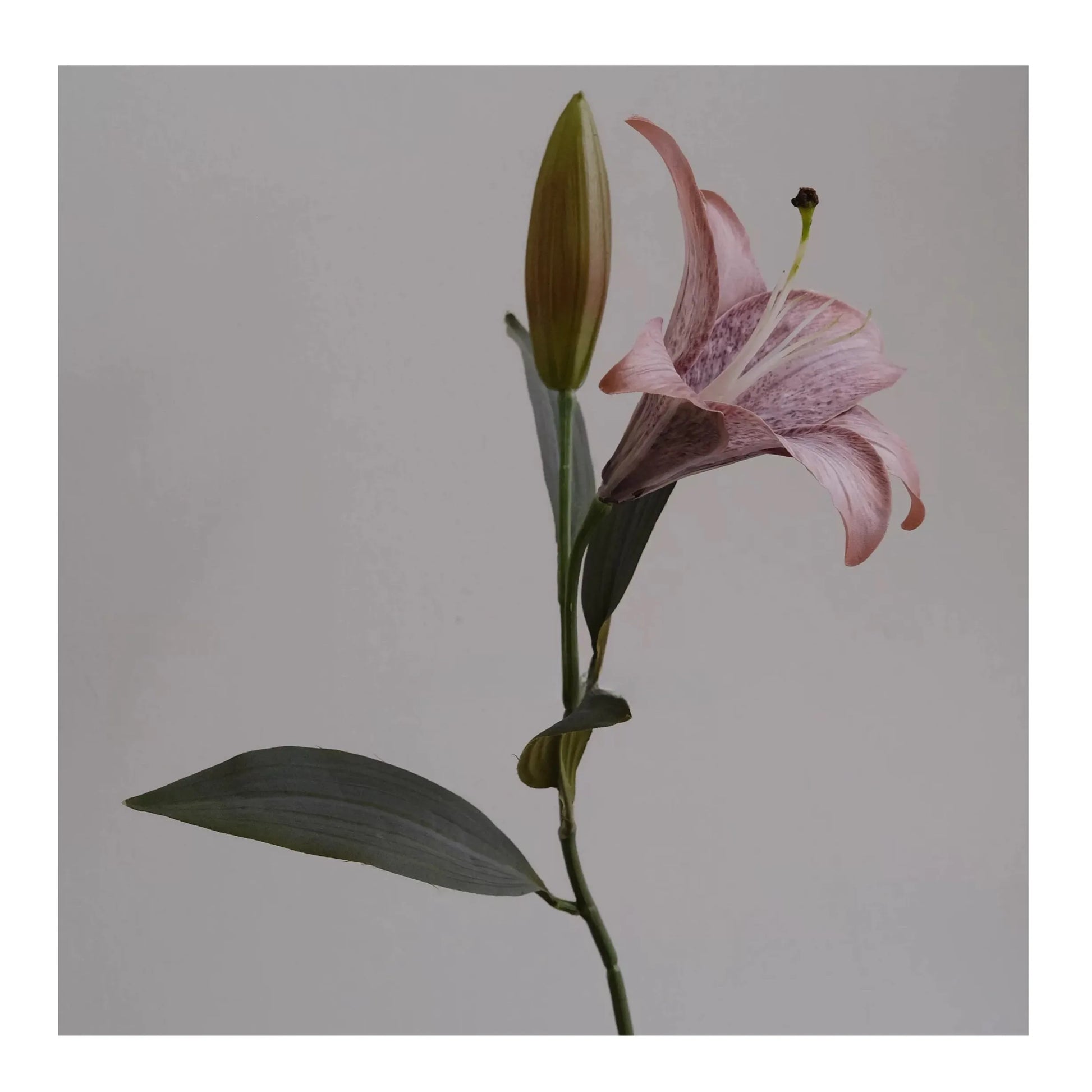 Elegant Faux Lily Flower – Two Stems