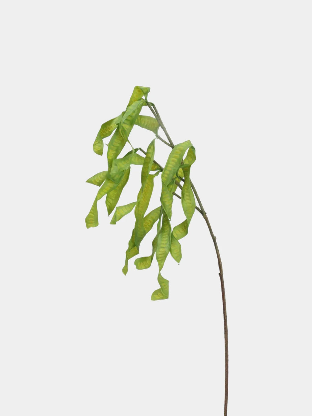 Faux Acacia Seed Pod Stem