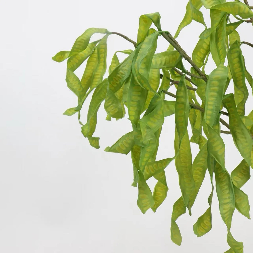 Faux Acacia Seed Pod Stem