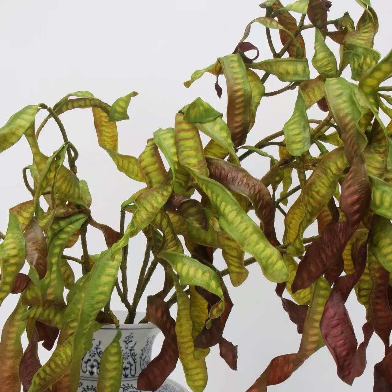 フェイクアカシアシードポッドステム