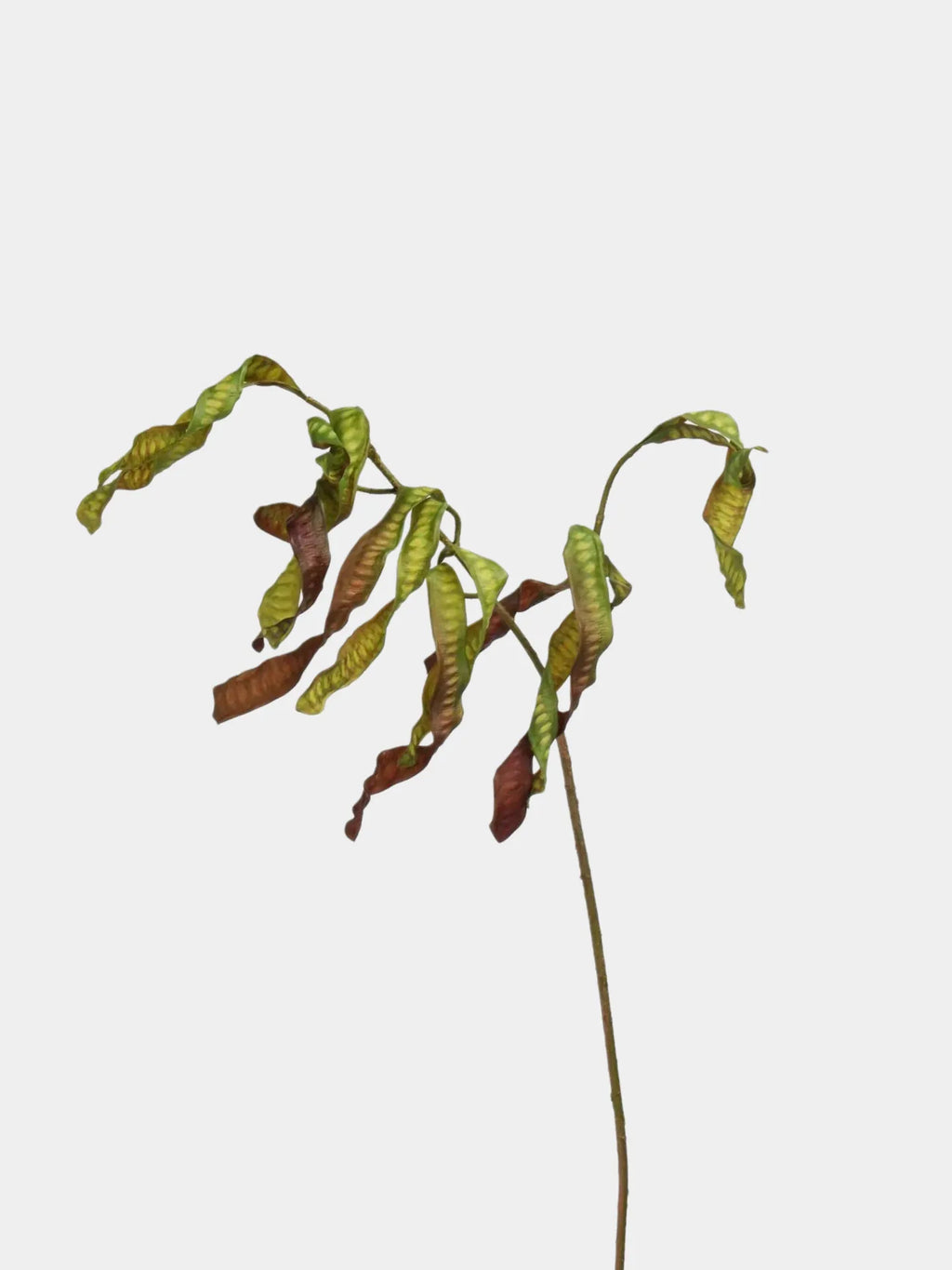 Faux Acacia Seed Pod Stem