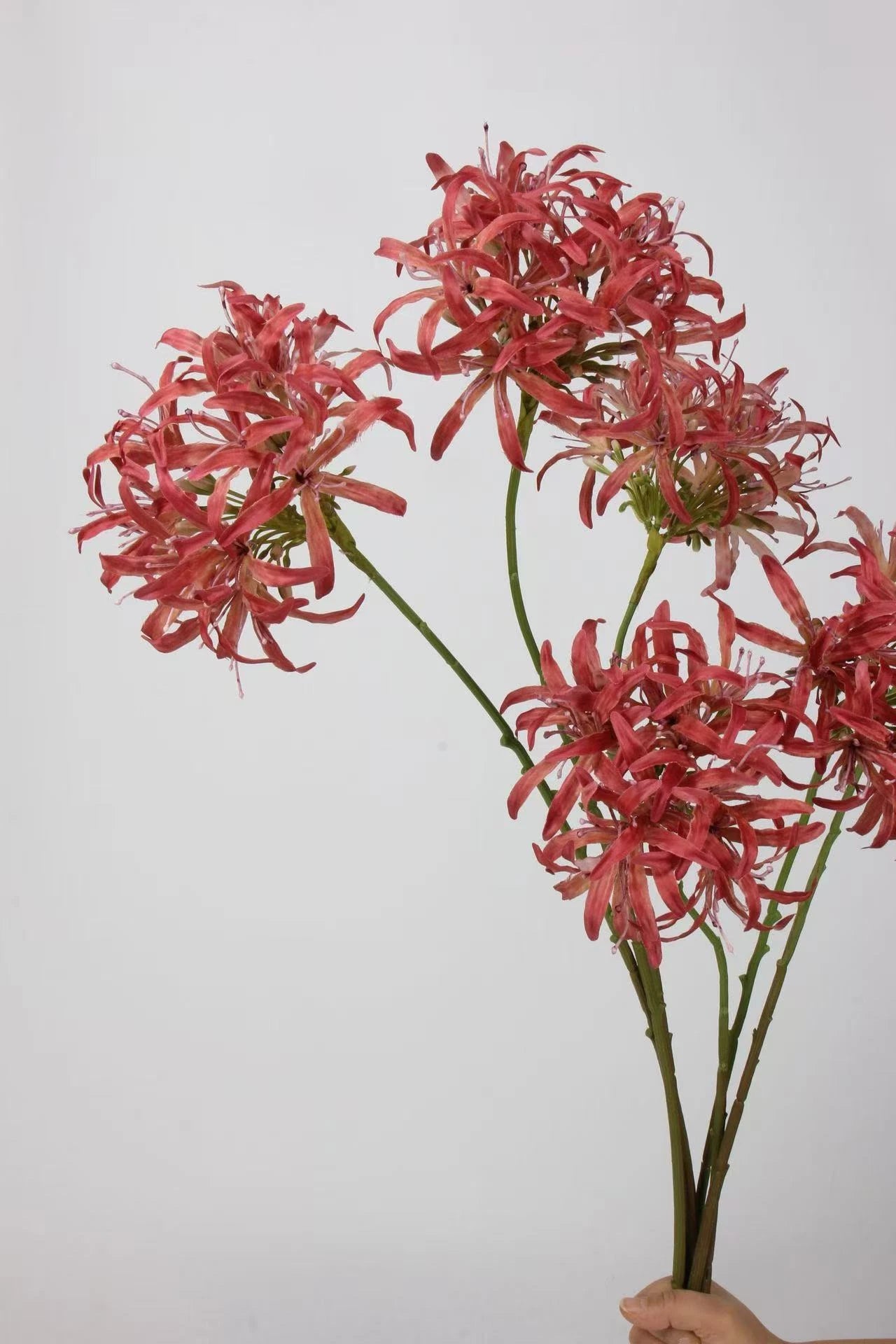 Faux Agapanthus Stem – 31"
