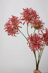 Faux Agapanthus Stem – 31"