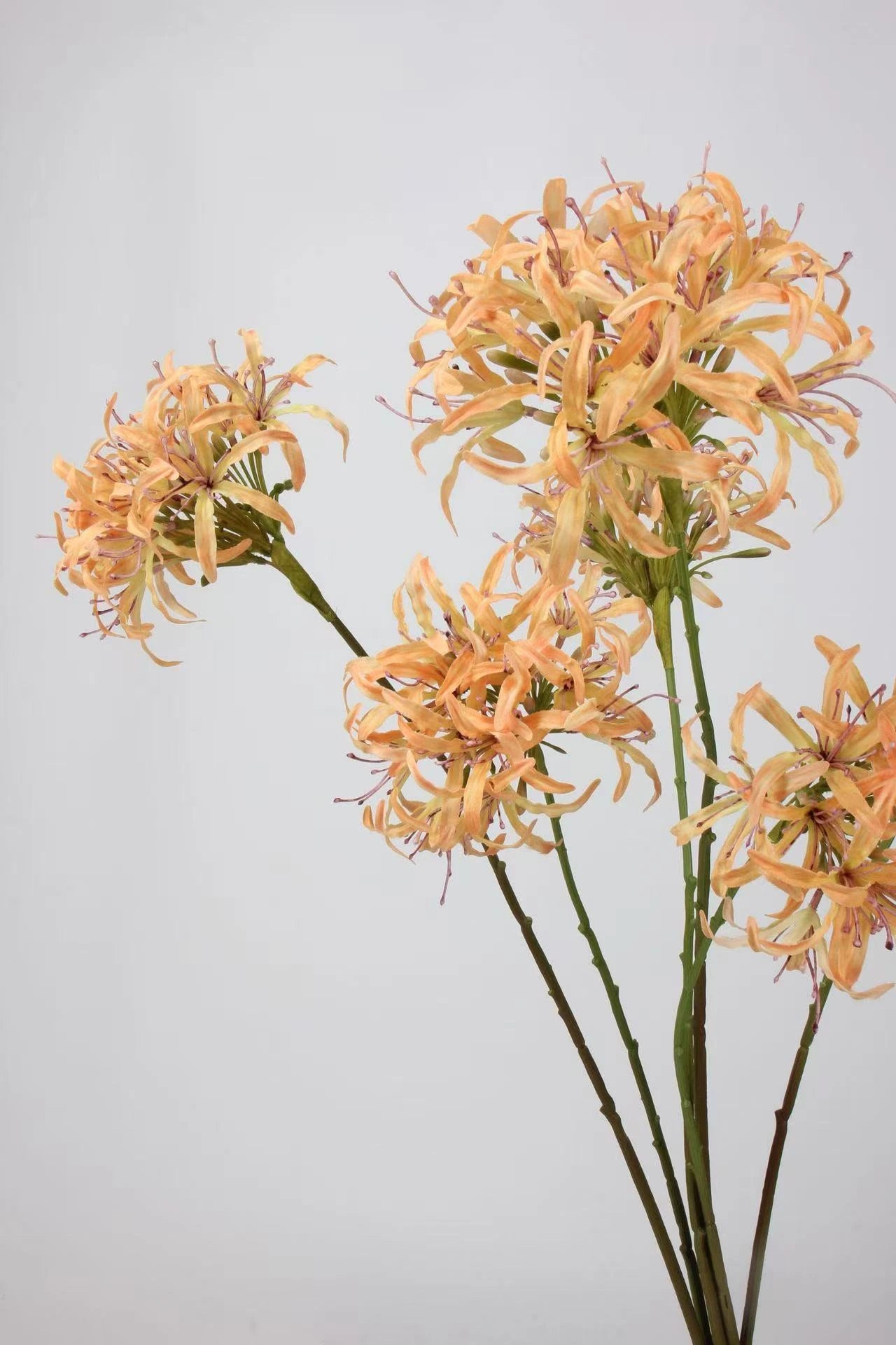Faux Agapanthus Stem – 31"