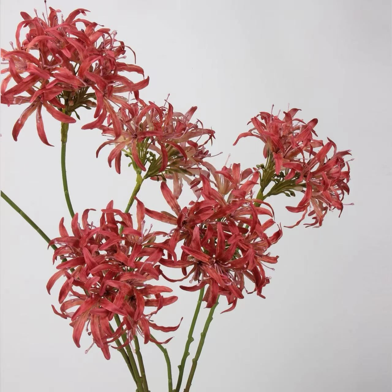 Faux Agapanthus Stem – 31"