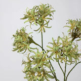 Faux Agapanthus Stem – 31"