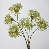 Faux Agapanthus Stem – 31"