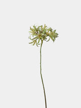 Faux Agapanthus Stem – 31"