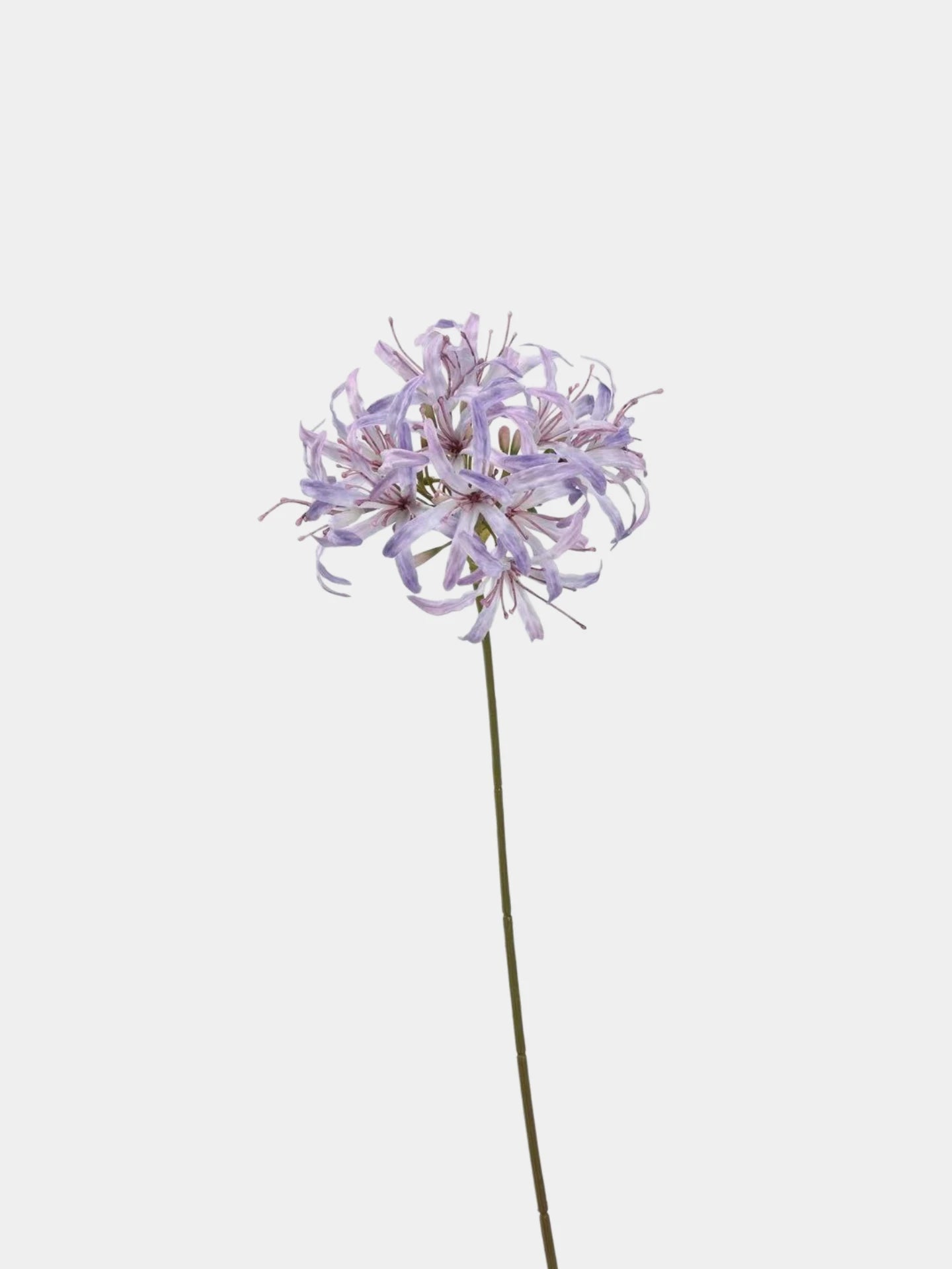 Faux Agapanthus Stem – 31"