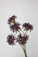 Faux Agapanthus Stem – 31"