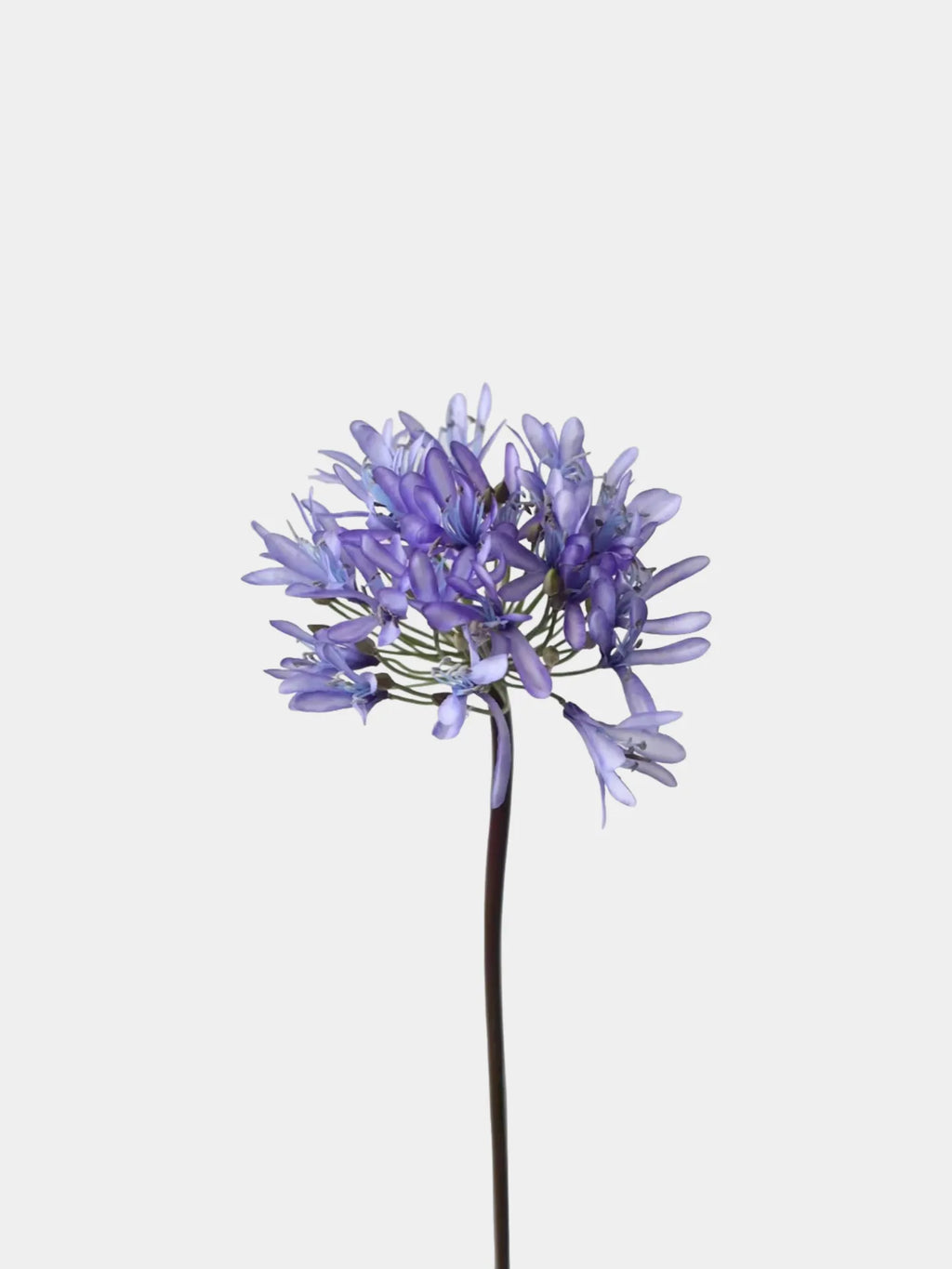 Faux Agapanthus Stem in Vliolet/White