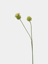 フェイク小型アリウム球根 – グリーン 27.7"