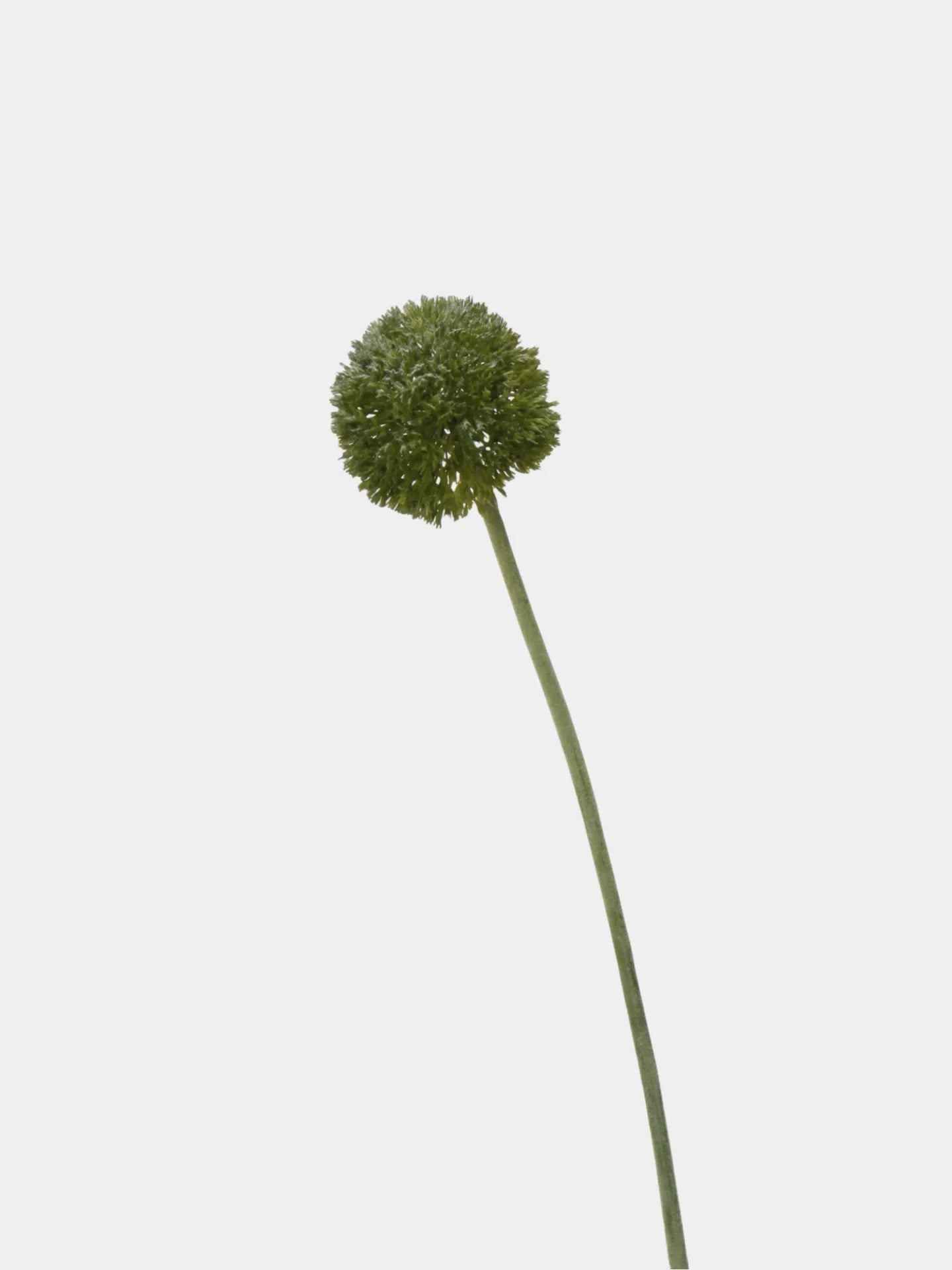 Faux Allium Bulbs – Green/Purple 25"