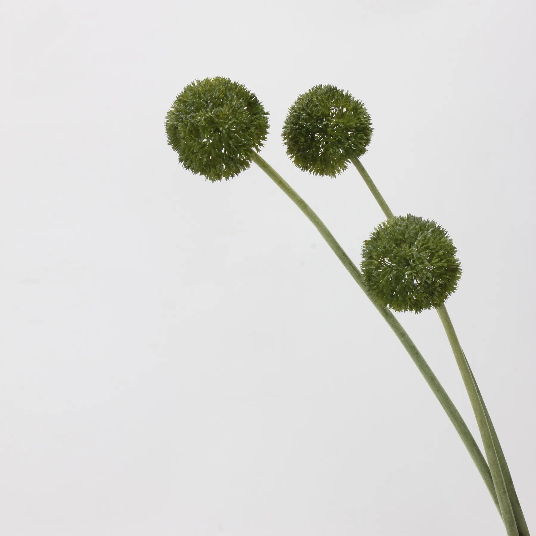 Faux Allium Bulbs – Green/Purple 25"
