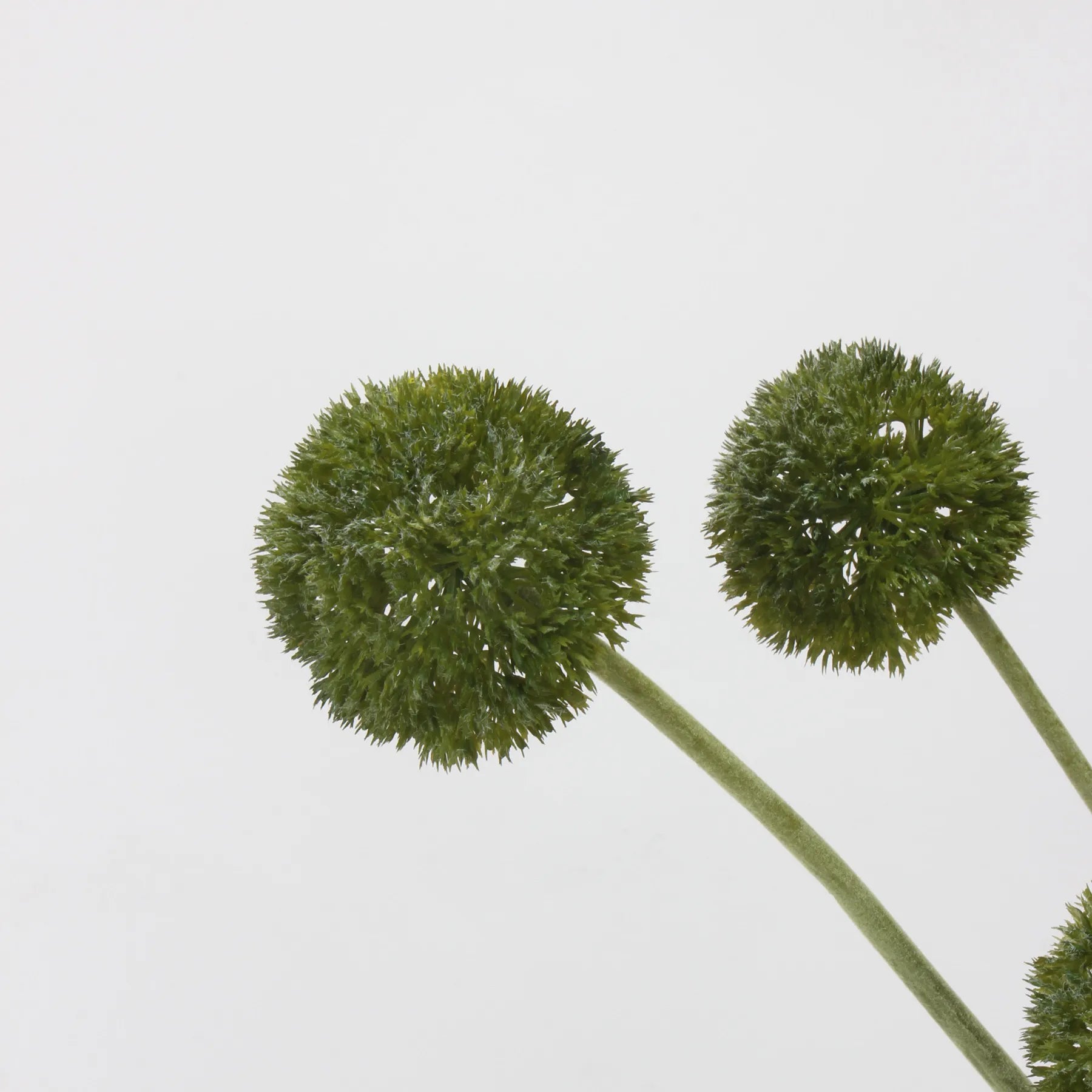 フェイクアリウム球根 – グリーン/パープル 25"