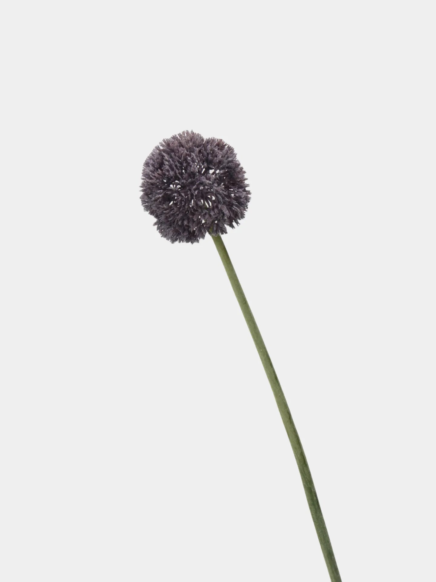 Faux Allium Bulbs – Green/Purple 25"