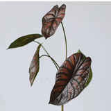 フェイク アロカシア エレファントイヤー リーフ ステム – バーガンディ 28インチ