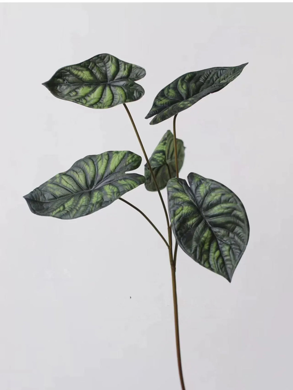 Faux Alocasia Elephant Ear Leaf Stem – Green 28"