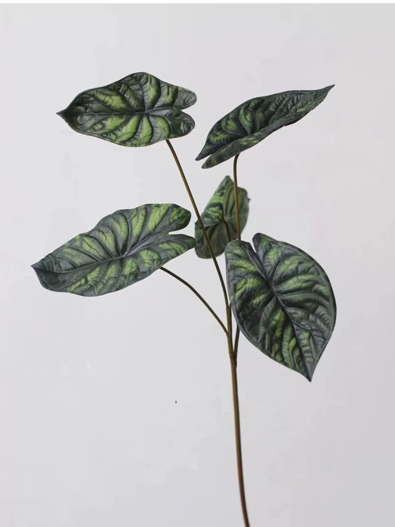 Faux Alocasia Elephant Ear Leaf Stem – Green 28"