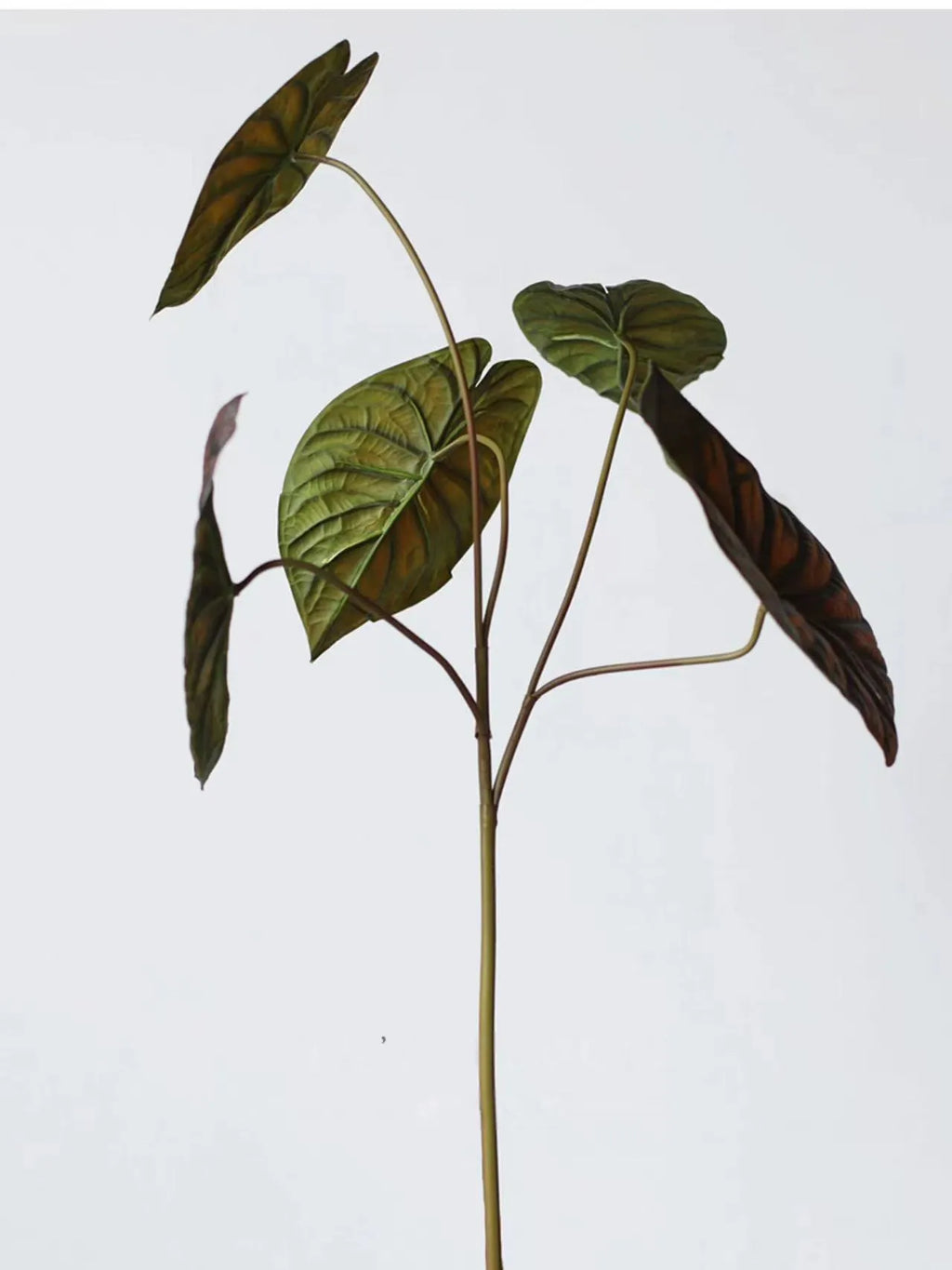 Faux Alocasia Elephant Ear Leaf Stem – Green 28"