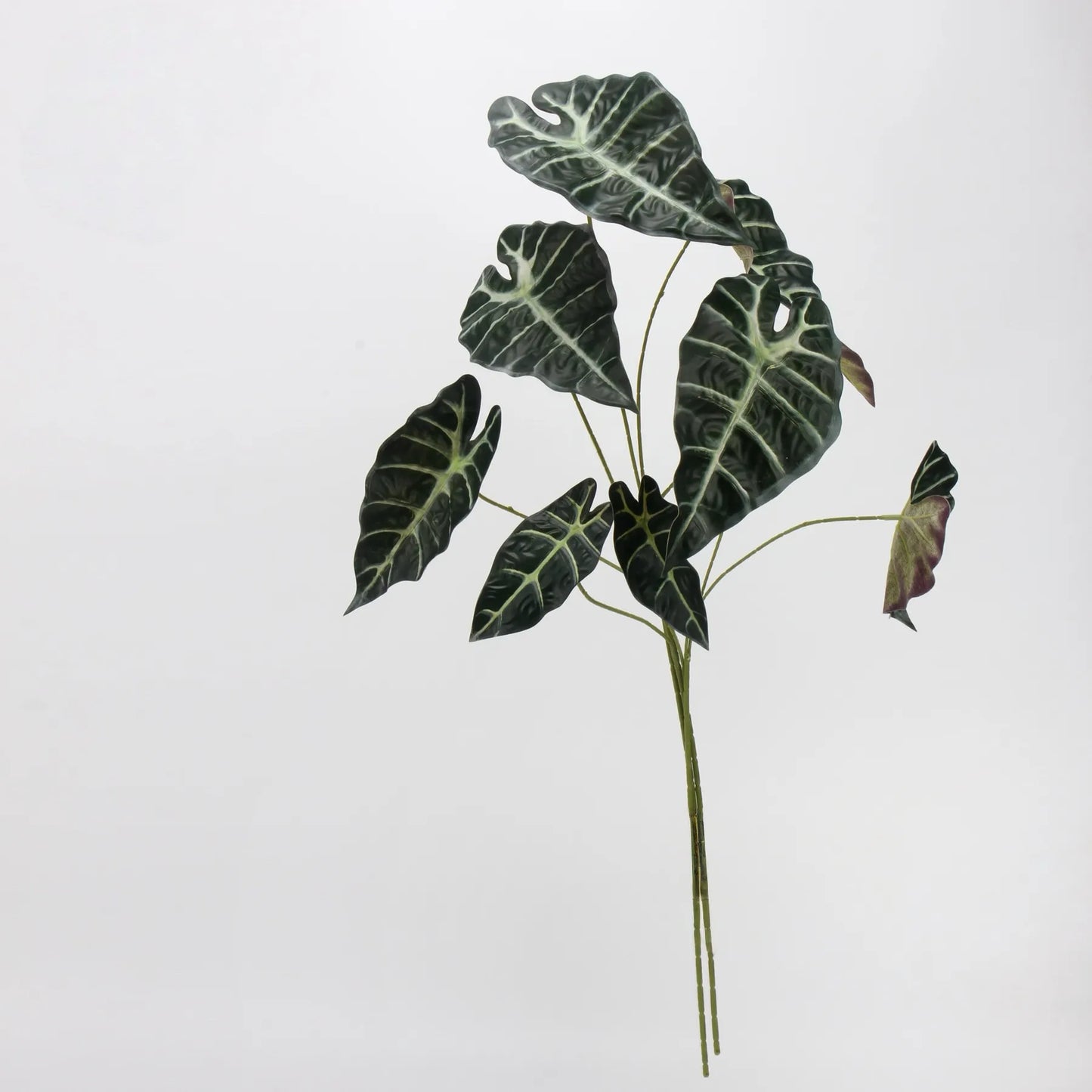 フェイク アロカシア リーフ - ダークグリーン 28.7"