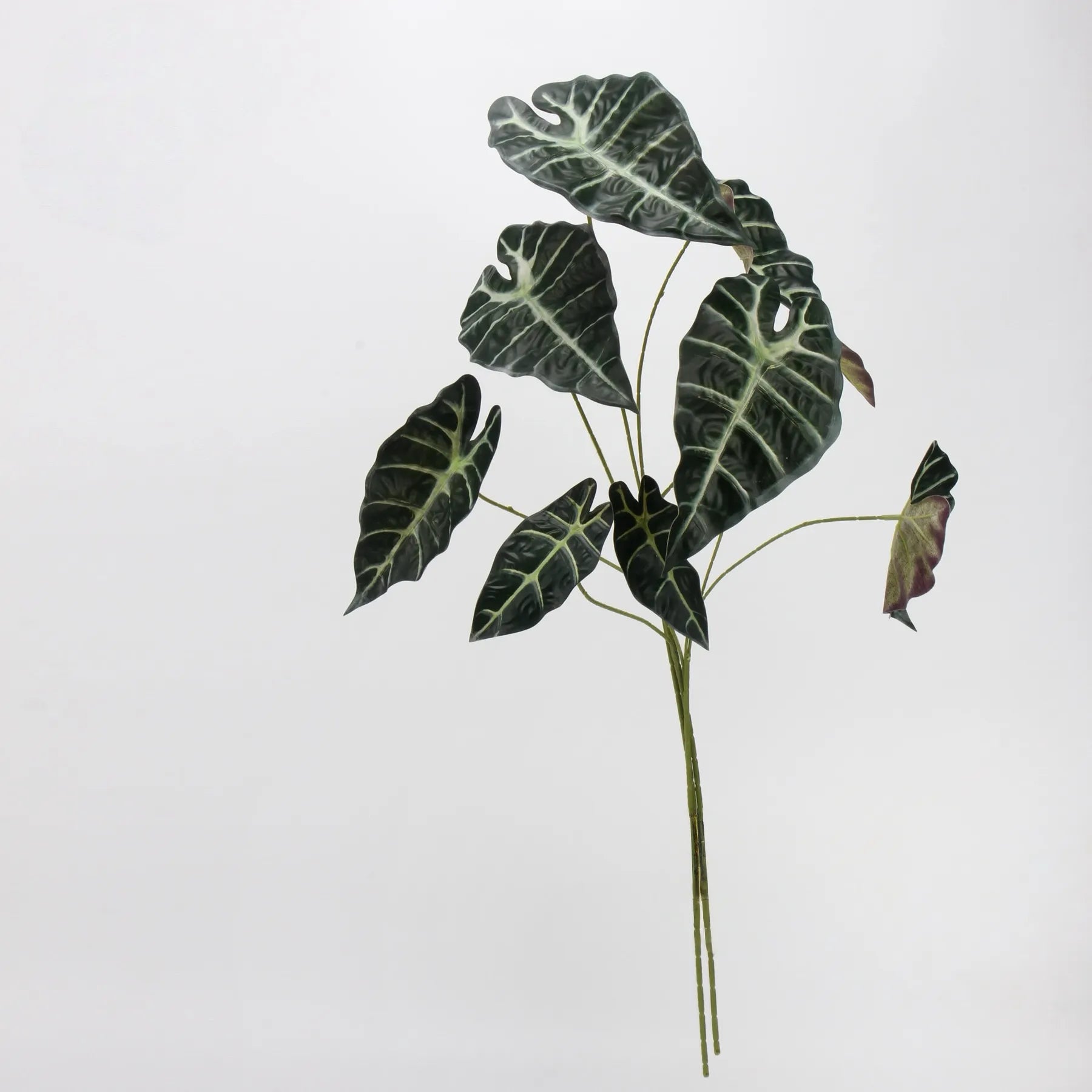 フェイク アロカシア リーフ - ダークグリーン 28.7"