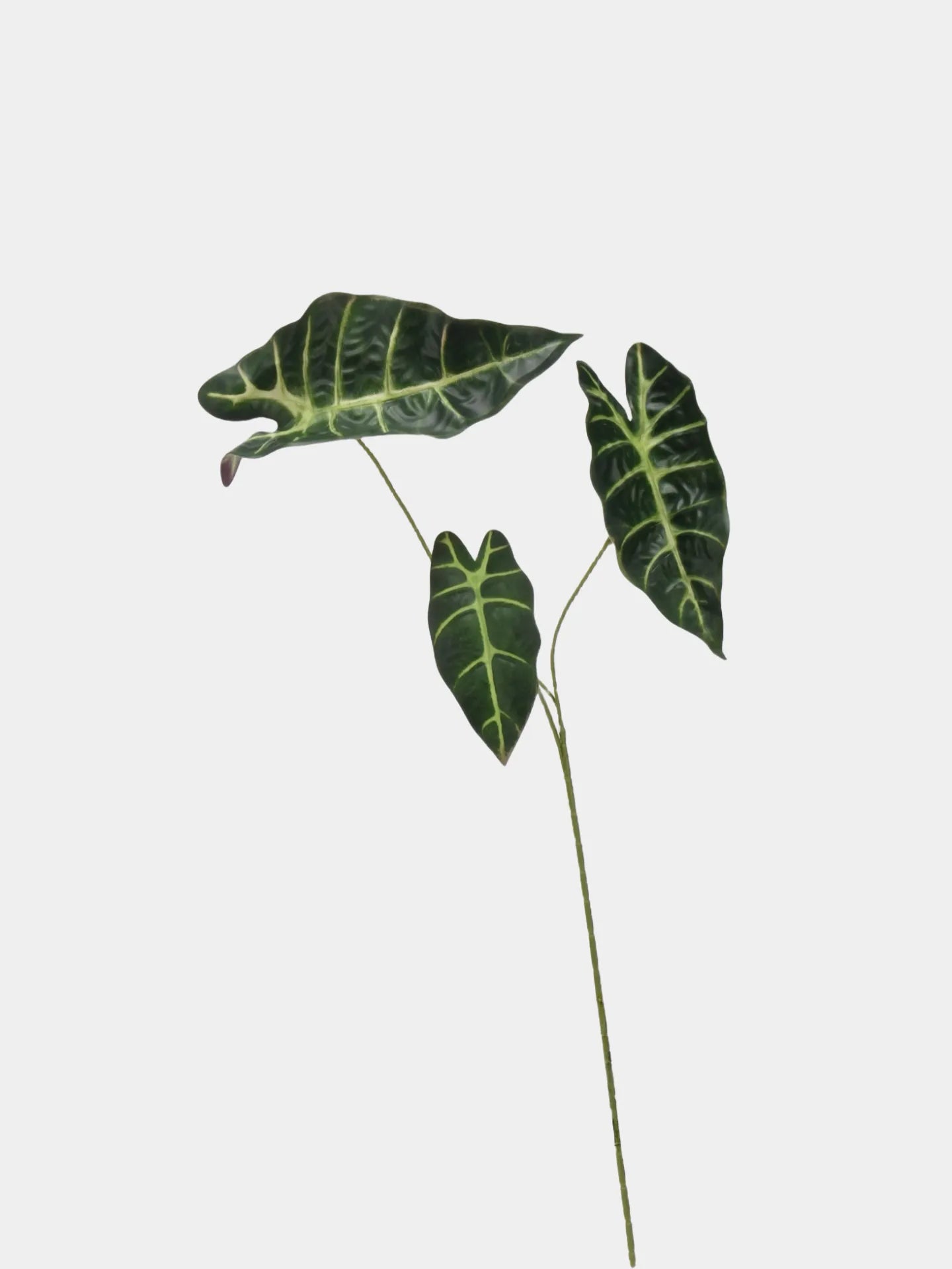 Faux Alocasia Leaf -Green 28.7"