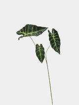 Faux Alocasia Leaf -Green 28.7"
