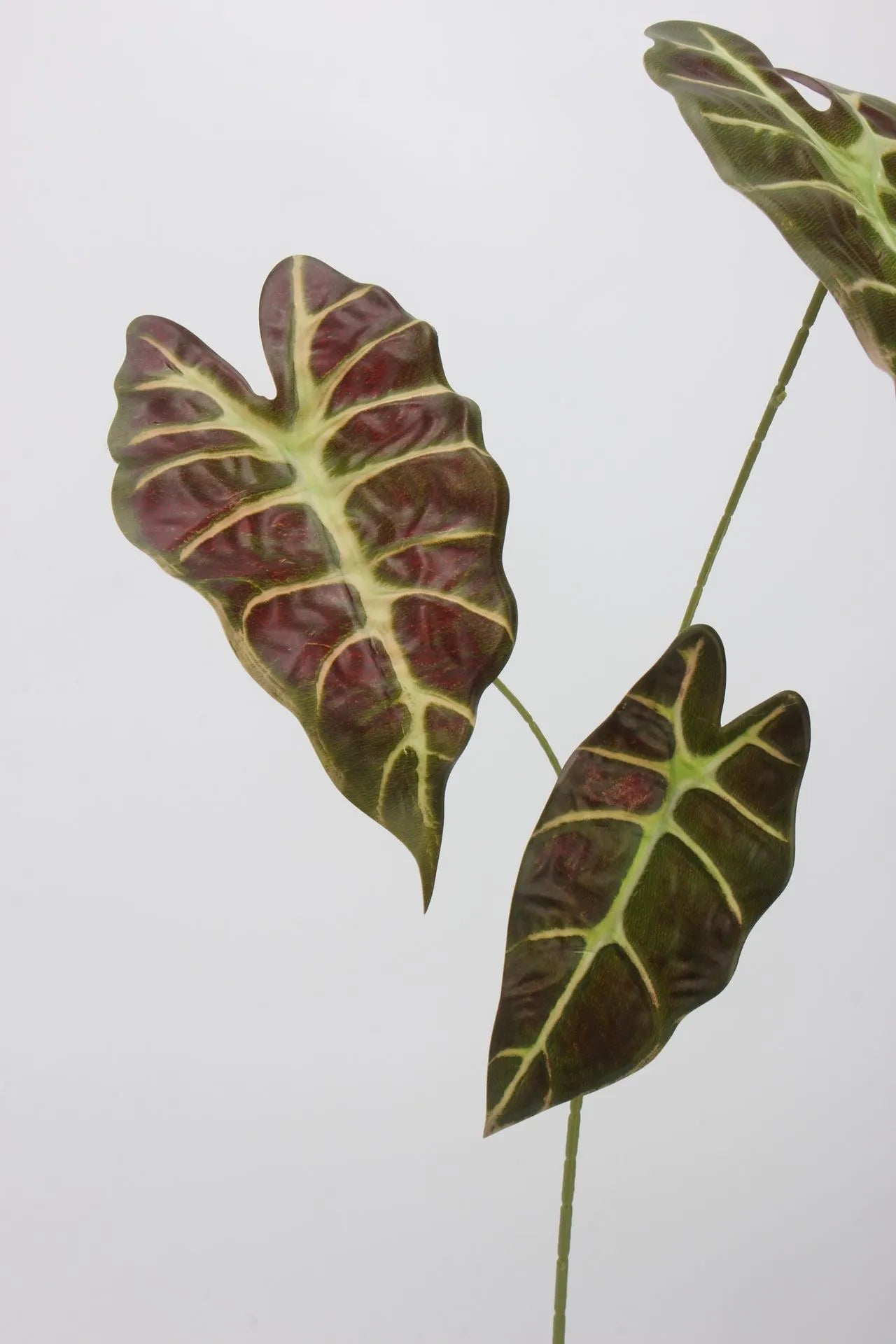 Faux Alocasia Leaf -Maroon 28.7"