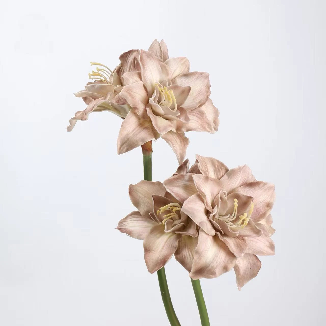 Faux Amaryllis Stem – 23"